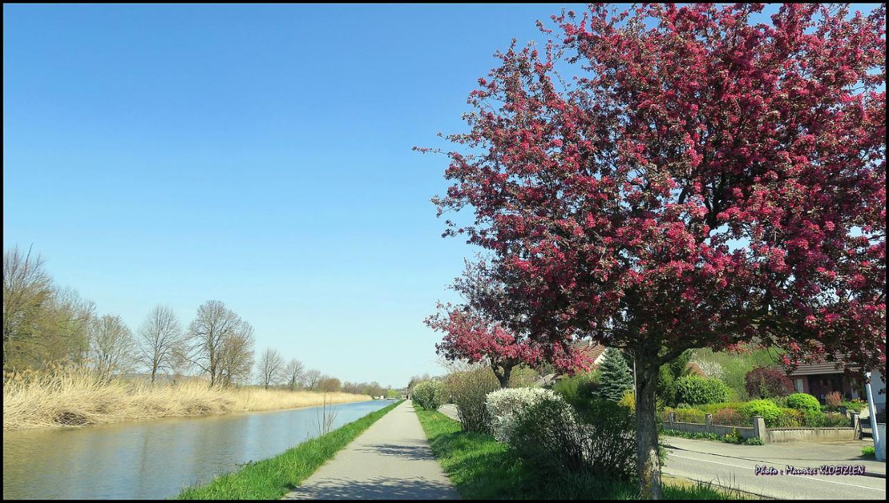Villa Bonheur Illfurth Alsace 4 Chambres エクステリア 写真