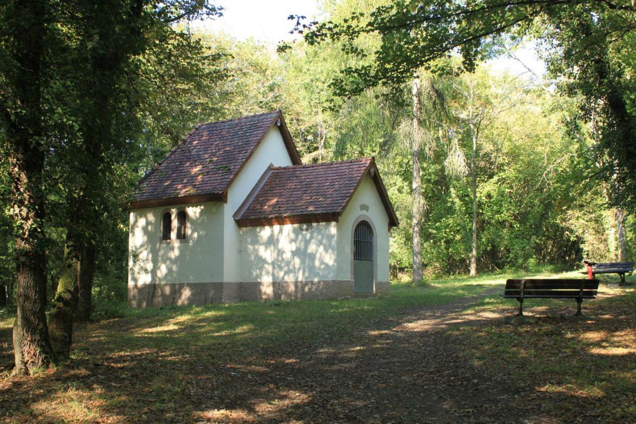 Villa Bonheur Illfurth Alsace 4 Chambres エクステリア 写真