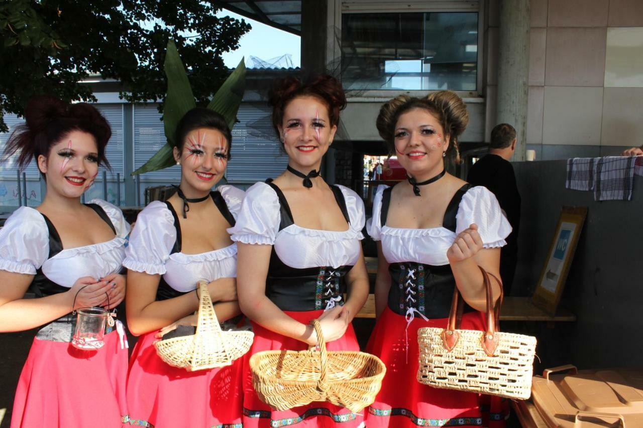 Villa Bonheur Illfurth Alsace 4 Chambres エクステリア 写真